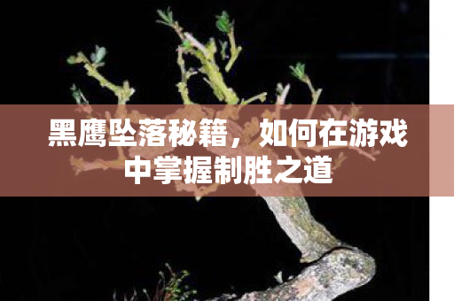黑鹰坠落秘籍，如何在游戏中掌握制胜之道