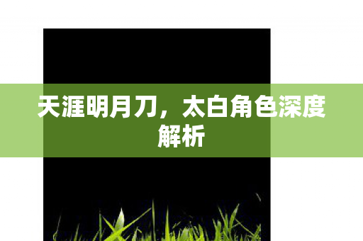 天涯明月刀，太白角色深度解析