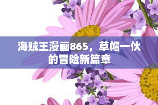 草帽一伙的冒险新篇章图片
