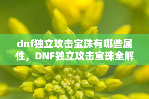 dnf独立攻击宝珠有哪些属性，DNF独立攻击宝珠全解析，提升战斗力的必备神器