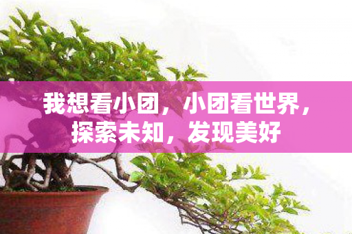 我想看小团，小团看世界，探索未知，发现美好