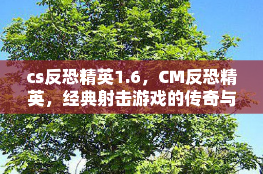 cs反恐精英1.6，CM反恐精英，经典射击游戏的传奇与未来