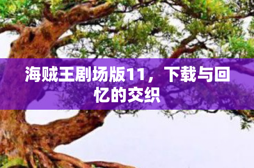 海贼王剧场版11，下载与回忆的交织