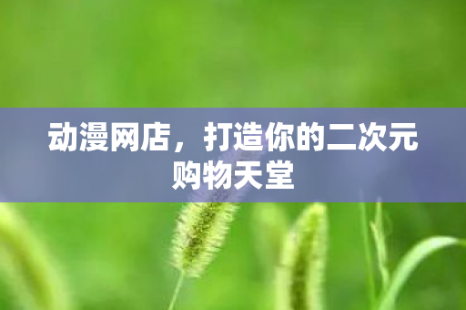 动漫网店，打造你的二次元购物天堂