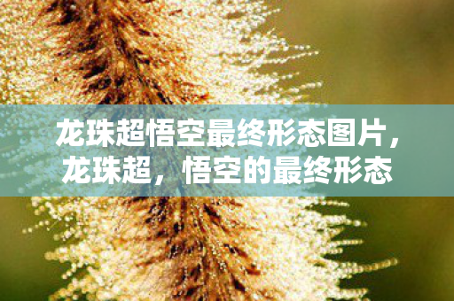 龙珠超悟空最终形态图片，龙珠超，悟空的最终形态