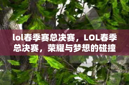 lol春季赛总决赛，LOL春季总决赛，荣耀与梦想的碰撞