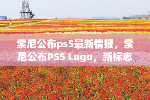 索尼公布ps5最新情报，索尼公布PS5 Logo，新标志背后的故事与期待