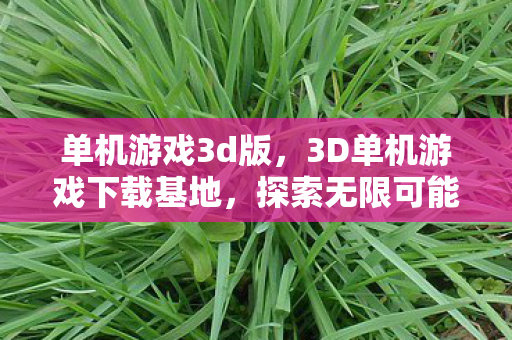 单机游戏3d版，3D单机游戏下载基地，探索无限可能的数字娱乐世界