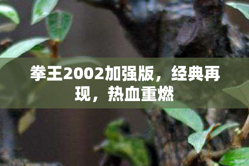 拳王2002加强版，经典再现，热血重燃