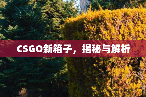 CSGO新箱子，揭秘与解析