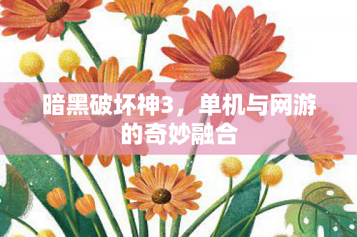 暗黑破坏神3，单机与网游的奇妙融合
