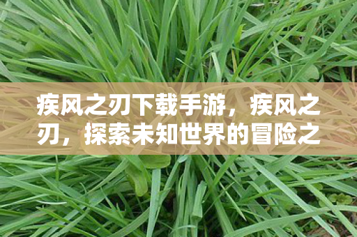 疾风之刃下载手游，疾风之刃，探索未知世界的冒险之旅