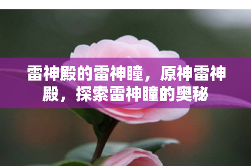 雷神殿的雷神瞳,原神雷神殿,探索雷神瞳的奥秘 雷神殿的雷神瞳,原神雷神殿,探索雷神瞳的奥秘