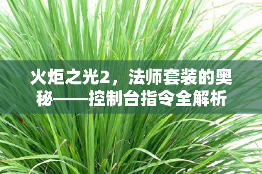 火炬之光2，法师套装的奥秘——控制台指令全解析