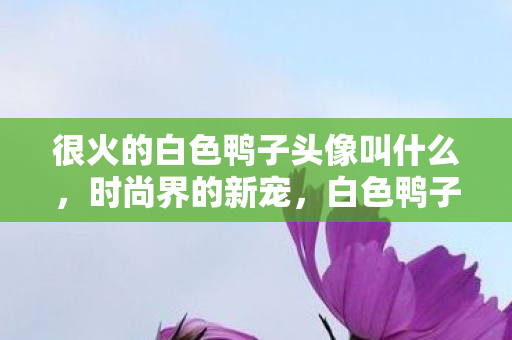 很火的白色鸭子头像叫什么，时尚界的新宠，白色鸭子发型风潮