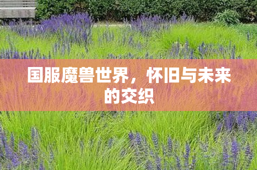 国服魔兽世界，怀旧与未来的交织