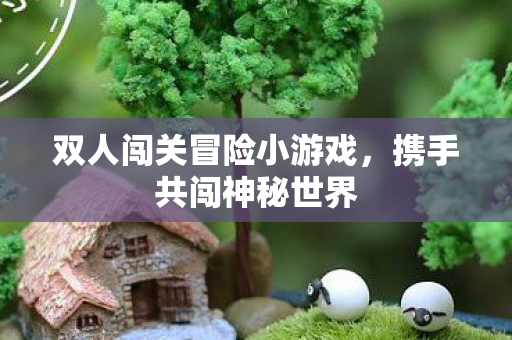 双人闯关冒险小游戏，携手共闯神秘世界