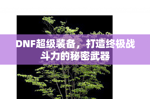 DNF超级装备，打造终极战斗力的秘密武器