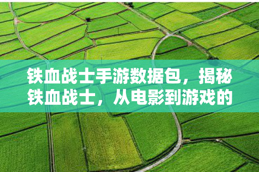 铁血战士手游数据包，揭秘铁血战士，从电影到游戏的传奇数据