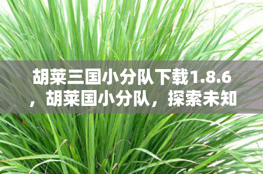 胡莱三国小分队下载1.8.6，胡莱国小分队，探索未知，挑战极限