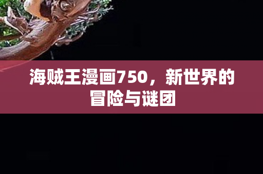 海贼王漫画750，新世界的冒险与谜团