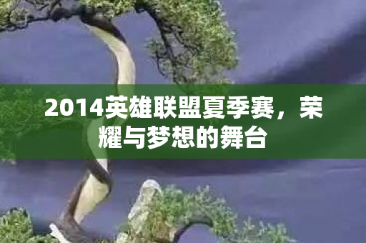 2014英雄联盟夏季赛，荣耀与梦想的舞台