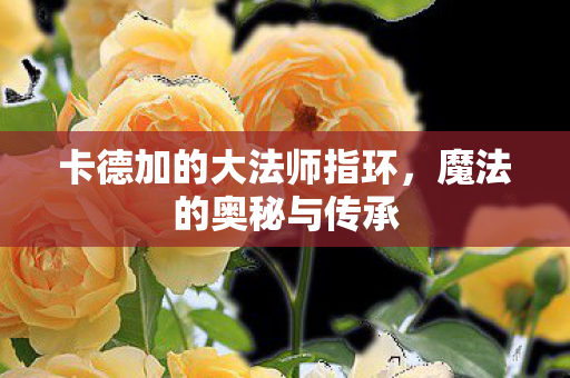 卡德加的大法师指环，魔法的奥秘与传承