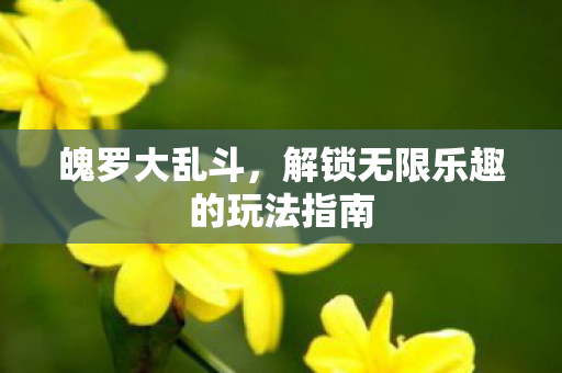 魄罗大乱斗，解锁无限乐趣的玩法指南