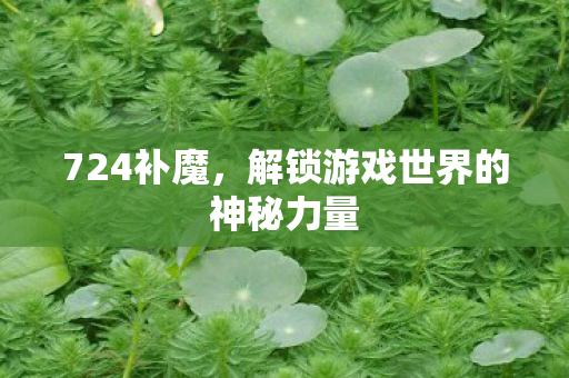 724补魔，解锁游戏世界的神秘力量