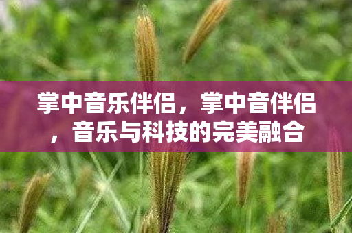 掌中音乐伴侣，掌中音伴侣，音乐与科技的完美融合