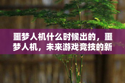 噩梦人机什么时候出的，噩梦人机，未来游戏竞技的新篇章