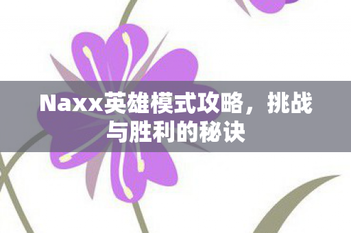 Naxx英雄模式攻略，挑战与胜利的秘诀