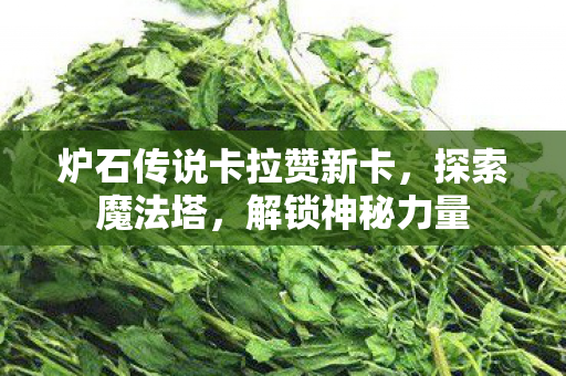 炉石传说卡拉赞新卡，探索魔法塔，解锁神秘力量