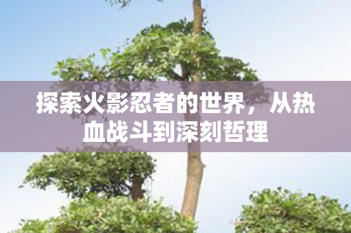 探索火影忍者的世界，从热血战斗到深刻哲理