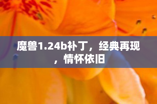 魔兽1.24b补丁，经典再现，情怀依旧