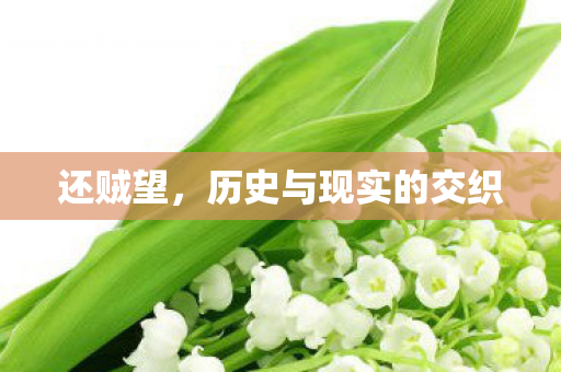 还贼望，历史与现实的交织