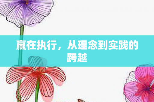赢在执行，从理念到实践的跨越