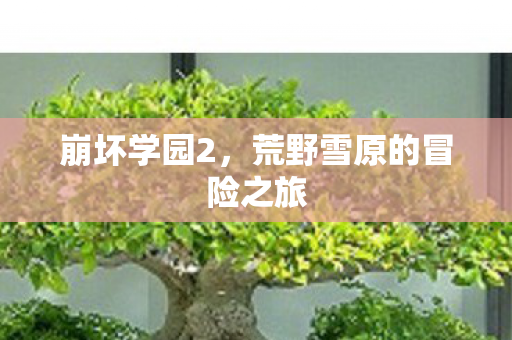 崩坏学园2，荒野雪原的冒险之旅