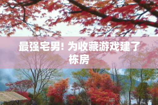 最强宅男! 为收藏游戏建了栋房