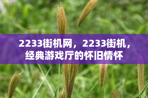 2233街机网，2233街机，经典游戏厅的怀旧情怀