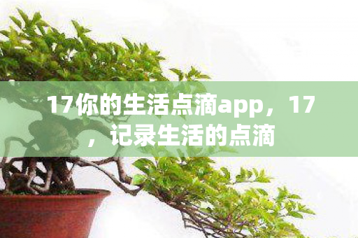 17你的生活点滴app，17，记录生活的点滴
