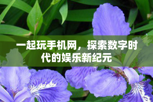 一起玩手机网，探索数字时代的娱乐新纪元