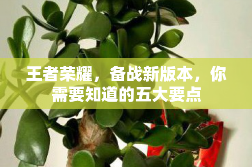 王者荣耀，备战新版本，你需要知道的五大要点