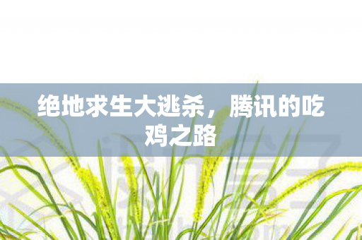 绝地求生大逃杀，腾讯的吃鸡之路