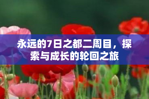 永远的7日之都二周目，探索与成长的轮回之旅
