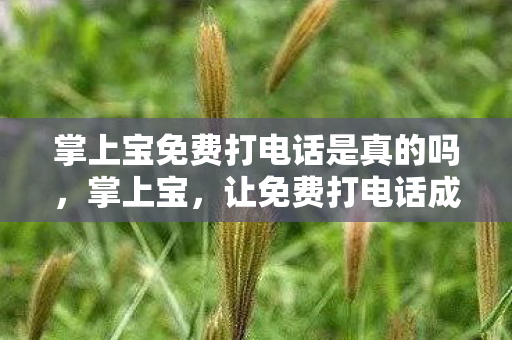 掌上宝免费打电话是真的吗,掌上宝,让免费打电话成为现实 掌上宝免费打电话是真的吗,掌上宝,让免费打电话成为现实