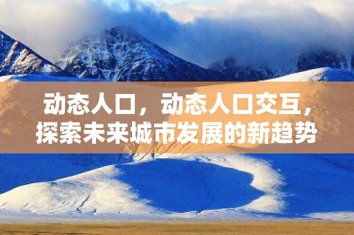 动态人口，动态人口交互，探索未来城市发展的新趋势