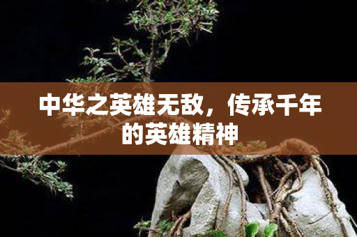 中华之英雄无敌，传承千年的英雄精神