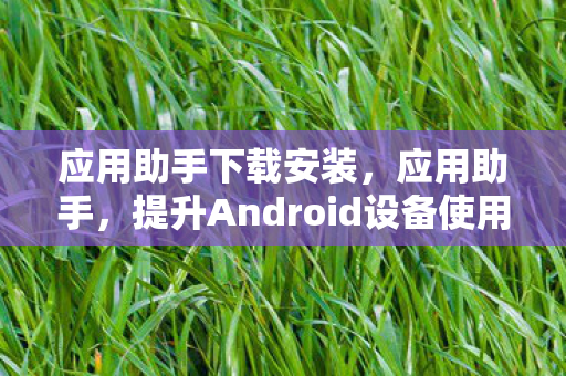 应用助手下载安装,应用助手,提升Android设备使用体验的智能工具 应用助手下载安装,应用助手,提升Android设备使用体验的智能工具