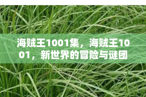 海贼王1001集，海贼王1001，新世界的冒险与谜团